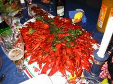 044-Kr�ftskiva_2005-03-13